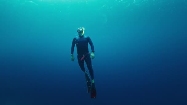 インドネシアの鮮やかなサンゴ礁の近くで水中で泳ぐフリーダイバー — ストック動画