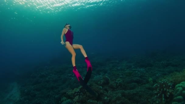 身着粉色西装的女自由人在水下游泳 日落时在印度尼西亚的科莫多国家公园里爬升 — 图库视频影像