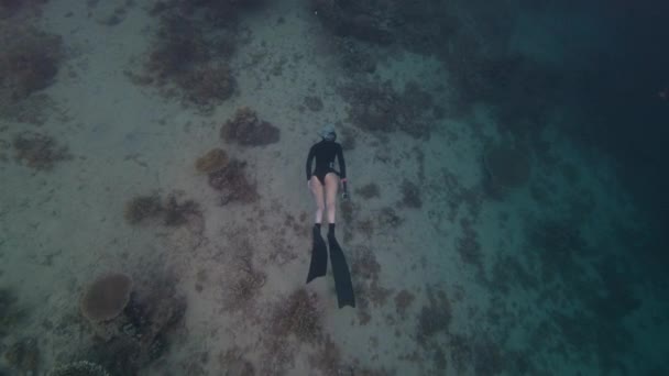 フリーダイバーは日没時にサンゴ礁の上に水中で泳ぎます — ストック動画