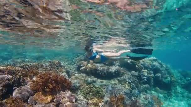 Vrouw Blauw Zwempak Snorkelt Het Ondiepe Gebied Van Tropische Zee — Stockvideo
