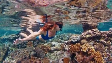 Mavi mayo giymiş bir kadın tropikal denizin sığ bölgesinde şnorkelle yüzüyor ve canlı mercan resifinin üzerinde yavaşça yüzüyor. Komodo Ulusal Parkı, Endonezya