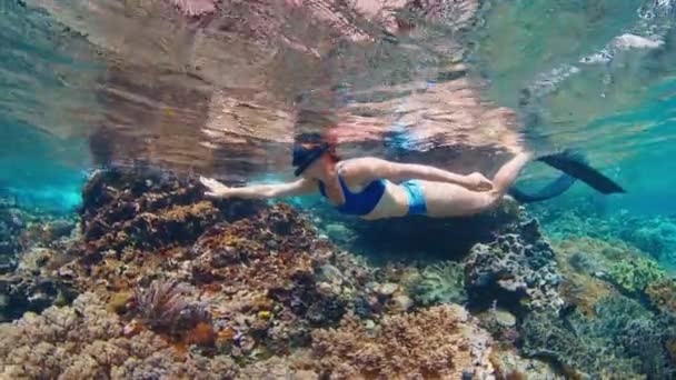 Женщина Голубом Купальнике Ныряет Маской Мелководье Тропического Моря Медленно Плавает — стоковое видео