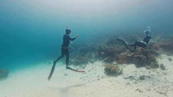 Underwater Language Freediving Guide Explains Location Sea Eel Colony His — Stock Video