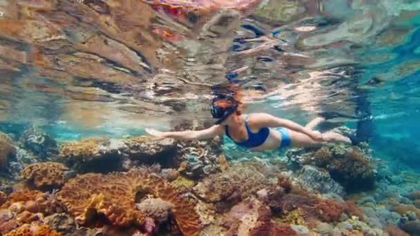 Kobieta Niebieskim Stroju Kąpielowym Nurkuje Płytkim Obszarze Tropikalnego Morza Powoli — Wideo stockowe