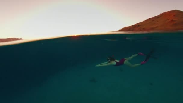 Woman Freediver Pink Suit Swims Underwater Explores Underwater World Komodo — Stock Video