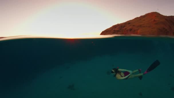 Женщина Фридайвер Розовом Костюме Плавает Водой Исследует Подводный Мир Национального — стоковое видео