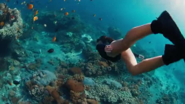 年轻女子在海里游泳 女自由者在珊瑚礁的水下滑行 — 图库视频影像
