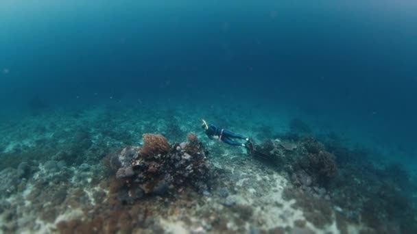 Freediver Zwemt Onder Water Bij Het Levendige Koraalrif Indonesië — Stockvideo