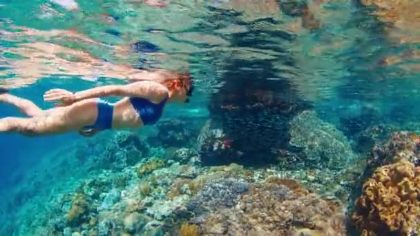Serbest Dalış Yapan Kadın Cam Denizde Yüzüyor Balıklarla Sağlıklı Mercan — Stok video
