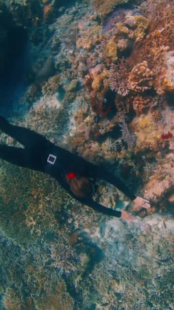 프리다이버는 바다에서 수영하며 인도네시아의 코모도 국립공원에서 건강한 산호초를 즐깁니다 — 비디오