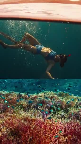 Split Screen Woman Freediver Relaxing Tropical Sea Vivid Pink Coral — Stock Video
