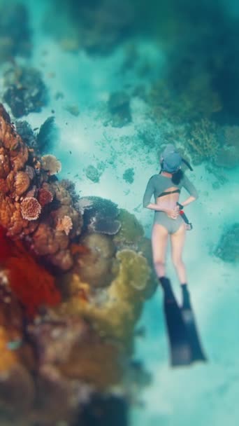 Mulher Liberta Desliza Mar Tropical Sobre Abundante Recife Coral Saudável — Vídeo de Stock