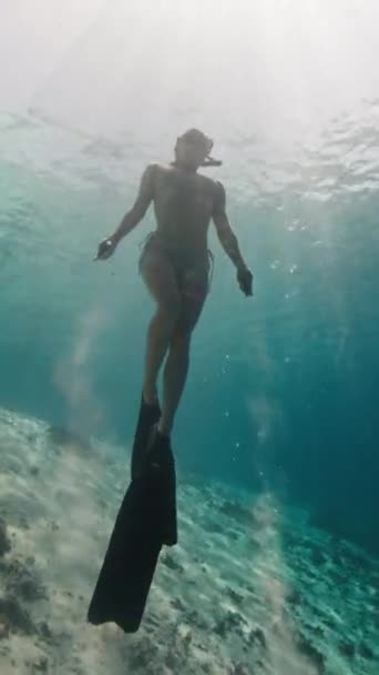 Γυναίκες Ελεύθεροι Δύτες Κολυμπούν Στην Τροπική Θάλασσα Γυναίκα Ελεύθερη Δύτης — Αρχείο Βίντεο