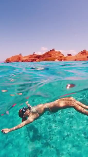 Seksowny Freediver Żeński Freediver Pływa Tropikalnym Morzu Kobieta Free Diver — Wideo stockowe