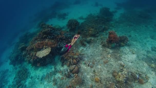 インドネシアのコモド国立公園の健全な鮮やかなサンゴ礁の上に水中を泳ぐ女性 — ストック動画