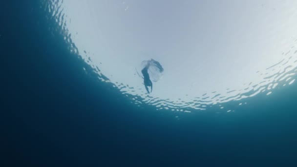 鸭下潜免费 女自由人在海里潜水和自由自在 — 图库视频影像