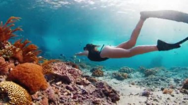 Genç bir kadın okyanusta yüzüyor. Dişi serbest dalgıç mercan resifinin üzerinde suyun altında süzülüyor.