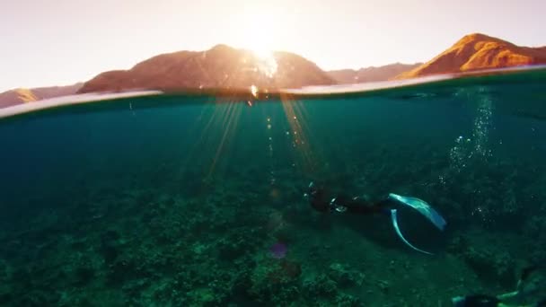男性は日の出に落ち着いた熱帯海で水中を泳いでいます コモド国立公園の水中世界を探索する無料ダイバー — ストック動画