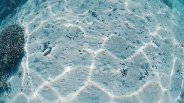 Güneşin Yansıma Desenli Kumlu Deniz Tabanının Sualtı Görüntüsü — Stok video