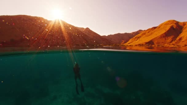 男性は日の出に落ち着いた熱帯海で水中を泳いでいます コモド国立公園の水中世界を探索する無料ダイバー — ストック動画