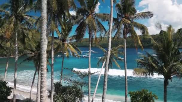 ターコイズの水とヤシの木が付いている熱帯ラグーン パナイダ島のガマット湾 インドネシア — ストック動画