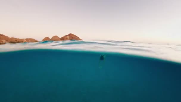 鸭下潜免费 一组简短的人在海里潜水和自由自在的镜头 — 图库视频影像