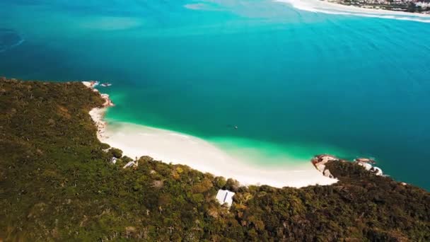 Αεροφωτογραφία Του Νησιού Campeche Και Της Παρθένου Παραλίας Του Florianopolis — Αρχείο Βίντεο