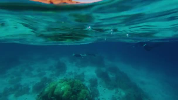 Splitted Underwater Shot Komodo National Park Freediver Gliding Underwater Distance — Stock Video