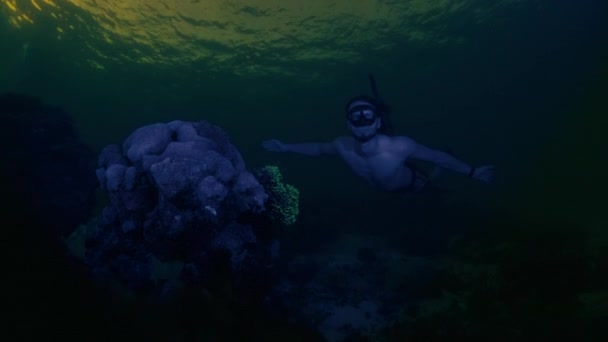Мужчина Фридайвер Плавает Наблюдает Кораллы Светят Зеленым Светом Кислоты Ультрафиолетовым — стоковое видео