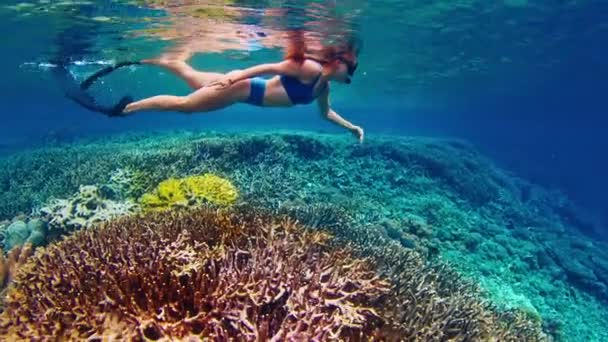 インドネシアの鮮やかなサンゴ礁を巡る青い水着のシュノーケリングの女性 — ストック動画