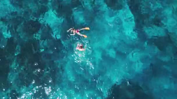 青い海のカップルシュノーケリングの空中ビュー — ストック動画