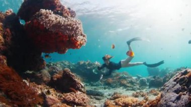 Genç bir kadın okyanusta yüzüyor. Dişi serbest dalgıç mercan resifinin üzerinde suyun altında süzülüyor.