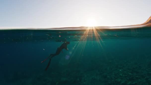 男自由选手日出时在平静的热带海中游泳 自由潜水者在科莫多国家公园探索水下世界 — 图库视频影像