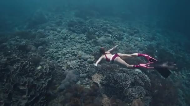 Vrouw Freediver Zwemt Onder Water Met Schildpad — Stockvideo
