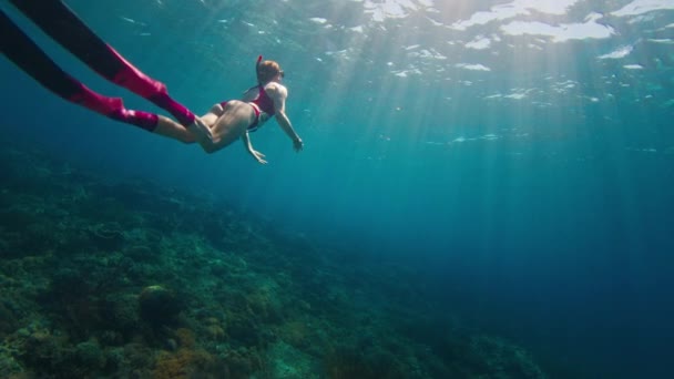 Vrouw Freediver Zwemt Onder Water Geniet Van Het Zijn Diepte — Stockvideo
