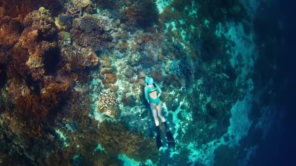 Vrouw Vrijduiker Zwemt Onder Water Langs Het Levendige Koraalrif Het — Stockvideo