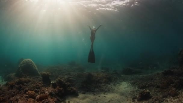 若い女性が海で泳いでいる 女性のフリーダイバーはサンゴ礁の上の水中を滑ります — ストック動画