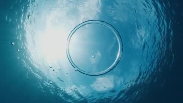 Gelembung Cincin Bergerak Bawah Air Menuju Permukaan — Stok Video