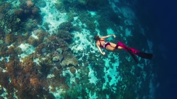 Mujer Libre Nada Bajo Agua Largo Del Arrecife Coral Vívido — Vídeo de stock