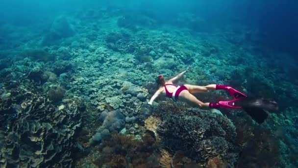 Woman Freediver Swims Underwater Turtle — Stock Video