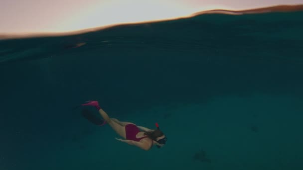 Kvinna Fridykare Rosa Kostym Simmar Vattnet Och Utforskar Undervattensvärlden Komodo — Stockvideo