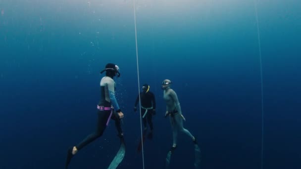 Sekelompok Penyelam Bebas Menyelam Sepanjang Tali Dan Kereta Laut — Stok Video