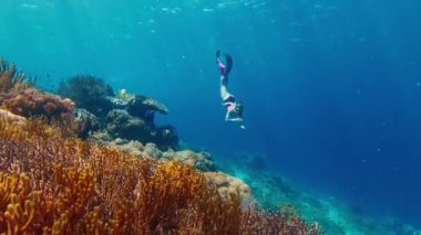 Serbest dalış yapan kadın Endonezya 'daki Komodo Ulusal Parkı' ndaki canlı mercan resifinin yakınında suya dalıp yüzüyor.