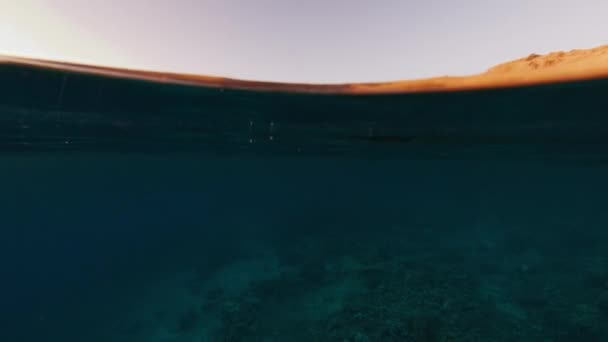 Unterwasserblick Auf Das Ruhige Meer Und Die Berühmte Komodo Insel — Stockvideo
