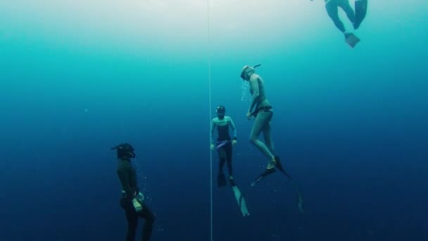 Groupe Plongeurs Apnée Plongent Long Corde Entraînent Dans Mer — Video