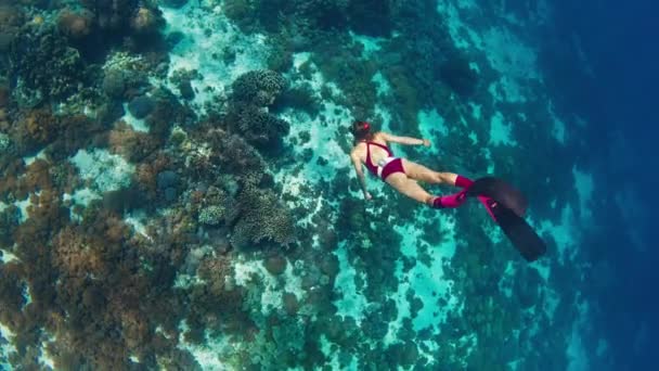 インドネシアのコモド国立公園の鮮やかなサンゴ礁に沿って水中を泳ぐ女性 — ストック動画