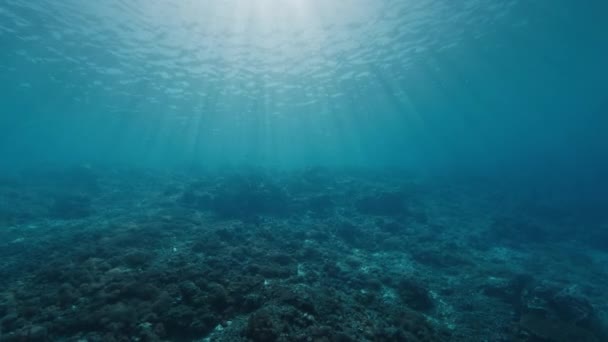 Underwater View Sea Sunny Rays Sun Shines Clear Sea Water — Stock Video