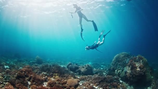 Two Women Freedivers Swim Underwater Enjoy Vivid Coral Reef Komodo — Stock Video