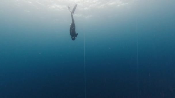 Woman Freediver Dives Rope Trains Sea — Stock Video