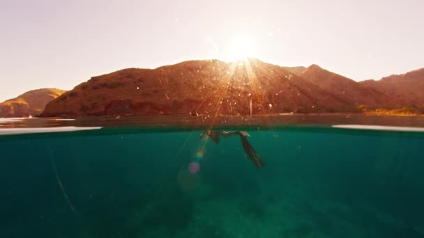 Männlicher Freitaucher Schwimmt Bei Sonnenaufgang Ruhigen Tropischen Meer Freitaucher Erkundet — Stockvideo